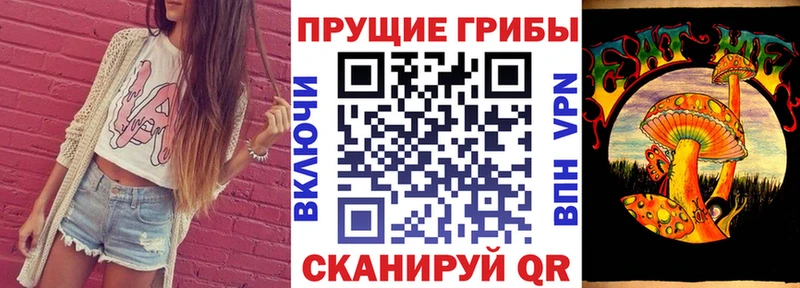 магазин продажи наркотиков  Торопец  ОМГ ОМГ как зайти  Псилоцибиновые грибы прущие грибы 