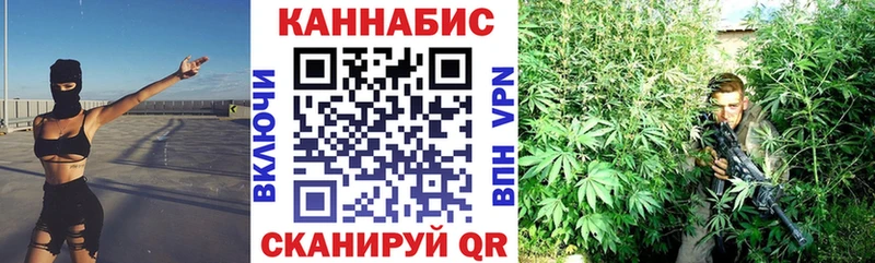 купить   Торопец  Шишки марихуана Amnesia 